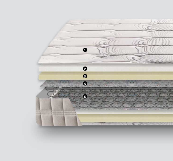 REDISA CARACTERISTICAS ANATOMIC