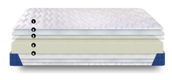 REDISA CARACTERISTICAS LIDER